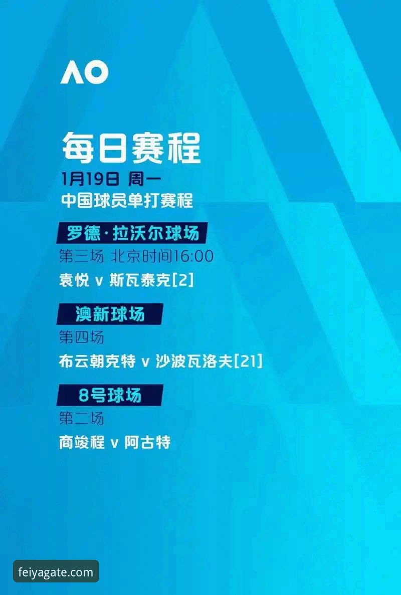 飞亚体育平台全面解析：官网登录入口与安全访问通道详细解读